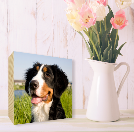 for the animal lovers out there. Have a photo of your pet printed on these fabulous wooden blocks.